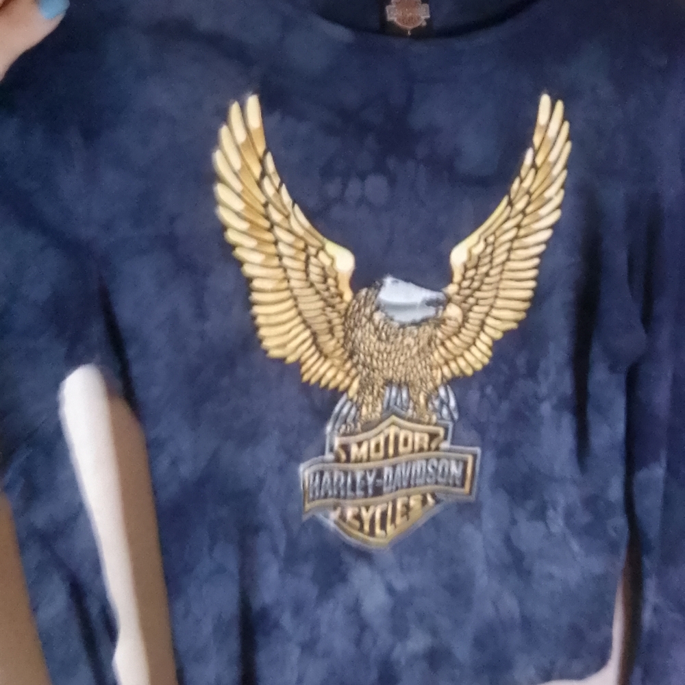 Harley-Davidson Blue and Gold Long Sleeve Tee with Eagle Design